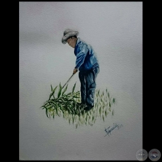 Plantaciones de mi Tierra - Acuarela de Marco Reynaldi - Año 2015